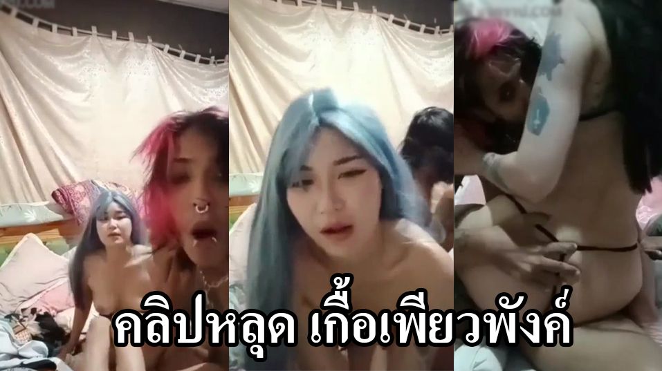 โป้ เว็บโป๊ เลียหี เย็ด เกื้อเพียวพั้ง